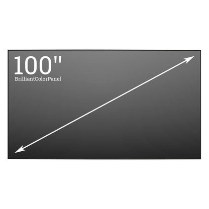 ViewSonic® 100” BrilliantColorPanel™